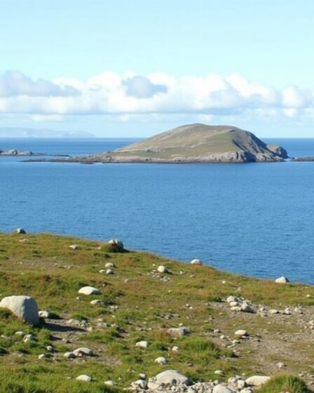Voyager seule au Cap-Vert : quelles îles choisir pour une expérience sûre et enrichissante ?