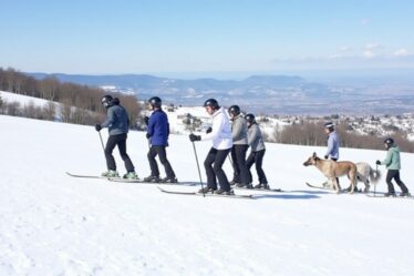 Le « Dry Ski » : Découvrez le ski sur pistes synthétiques pour dévaler les pentes toute l'année, même sans neige