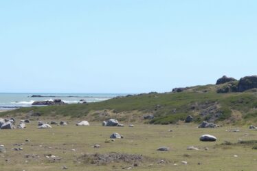 Golfe du Morbihan : opter pour l'île d'Arz ou l'île aux Moines, quelle escapade choisir ?