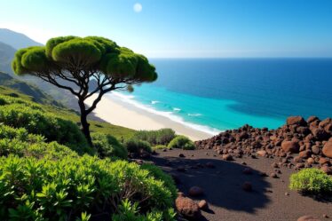 Ténérife vs Lanzarote : Quelle île des Canaries privilégier pour des vacances inoubliables ?